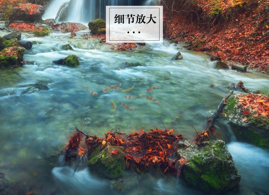 找一部日漫?-机智问答网页,智能解答你的各种疑问